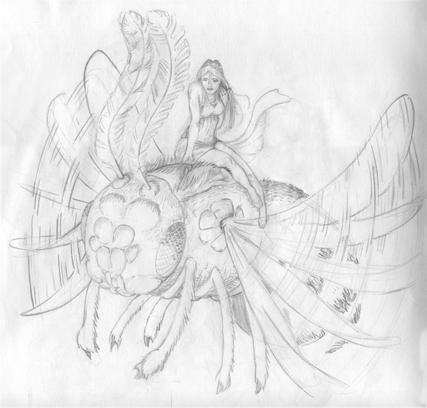 Bee Lady Sketch