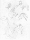 Territorial Sketchbook 4