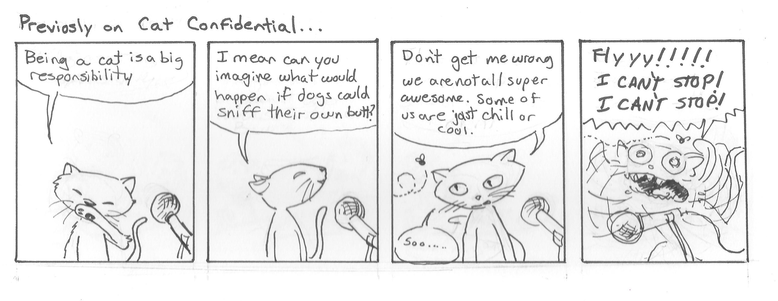 Previously on Cat Confidential...
